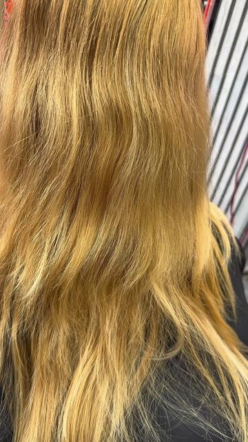 @besthairbyalex