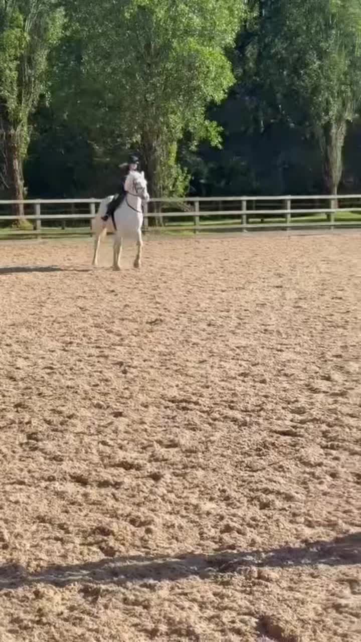 @Soph 🤍🐴