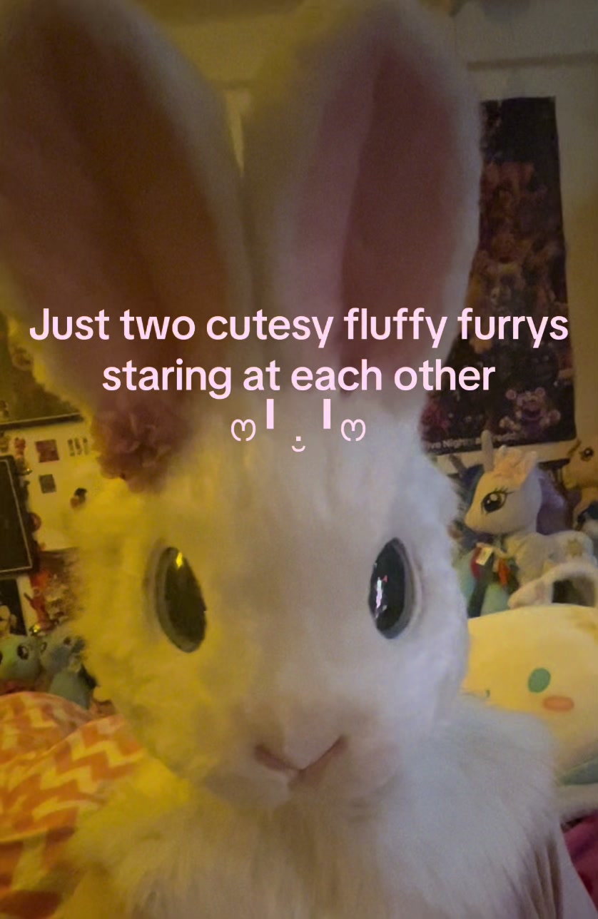 @🐰❀Tulip❀🤍