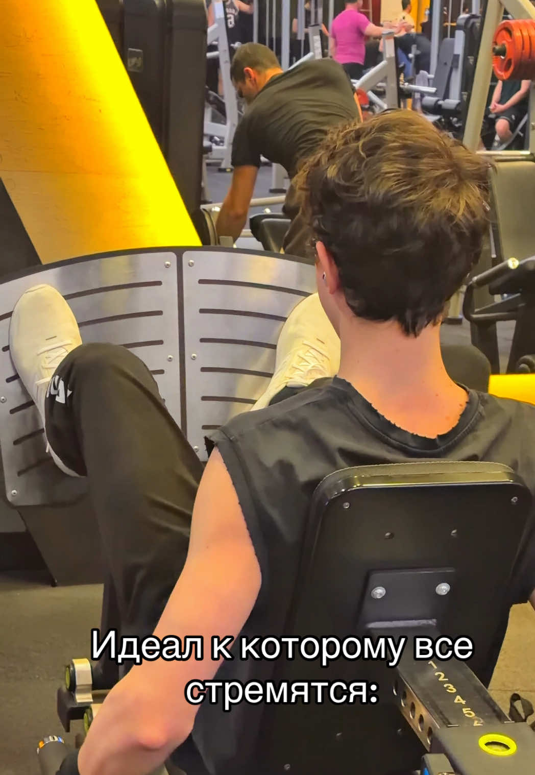 @stogfitmax