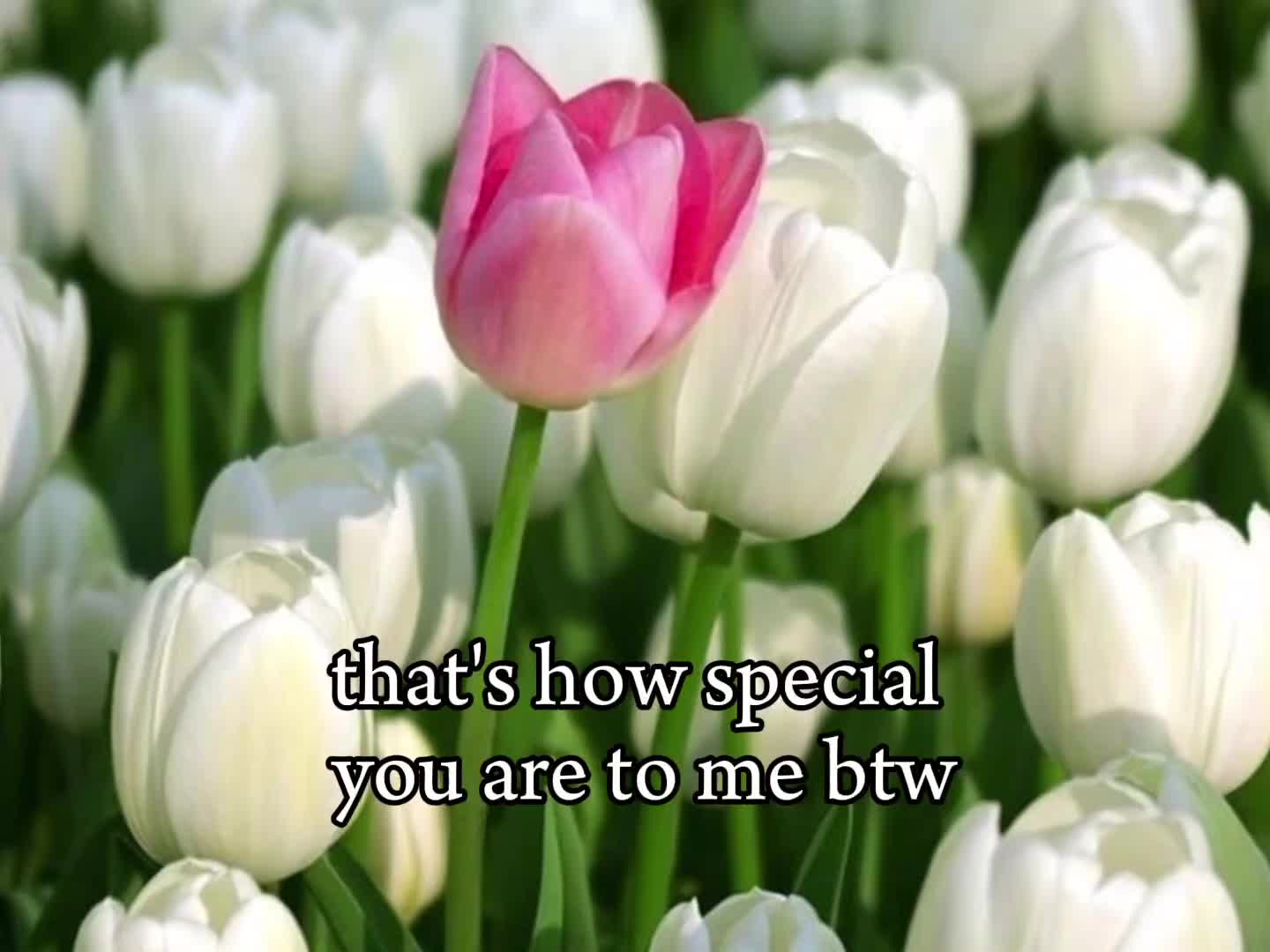 @•°⋆˚꩜。🫧⋆˚꩜。•