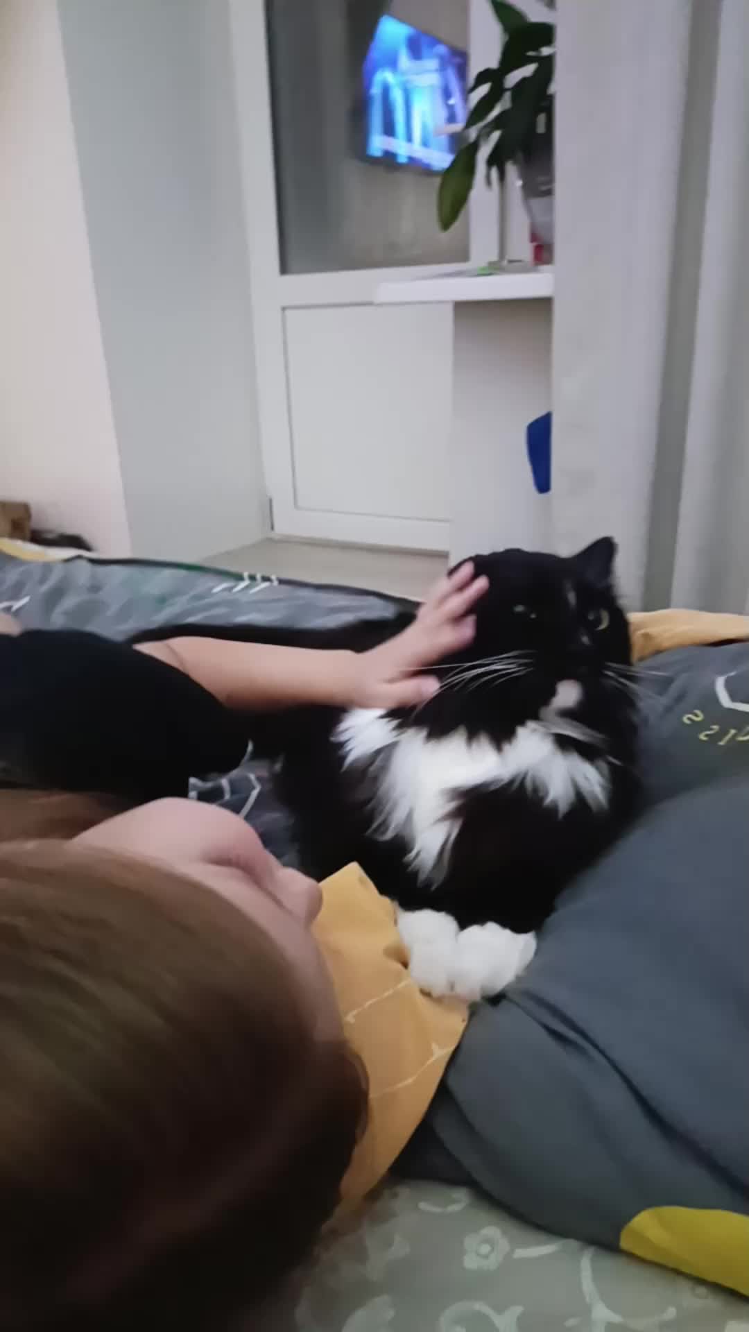 @Юлия Кириллова