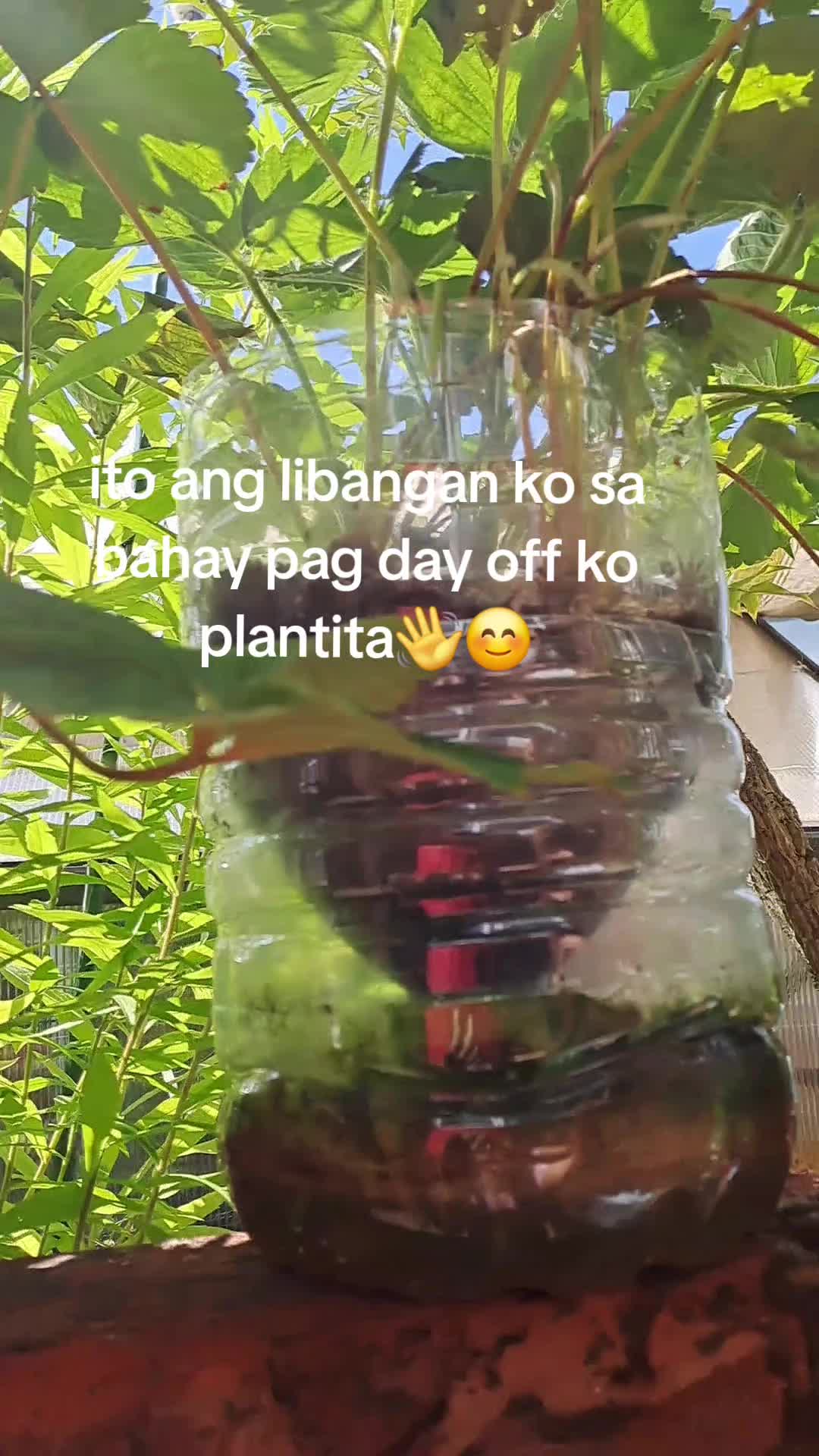 @lolagrams_05
