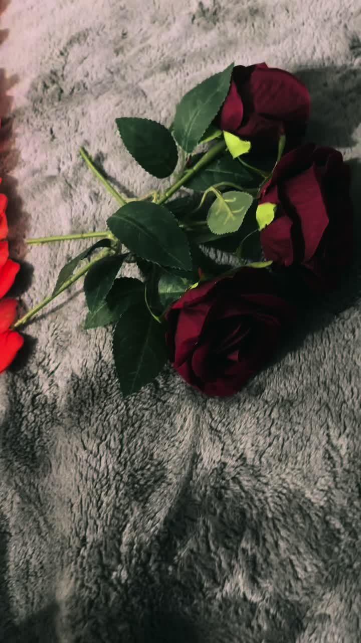 @Alina Mihaela