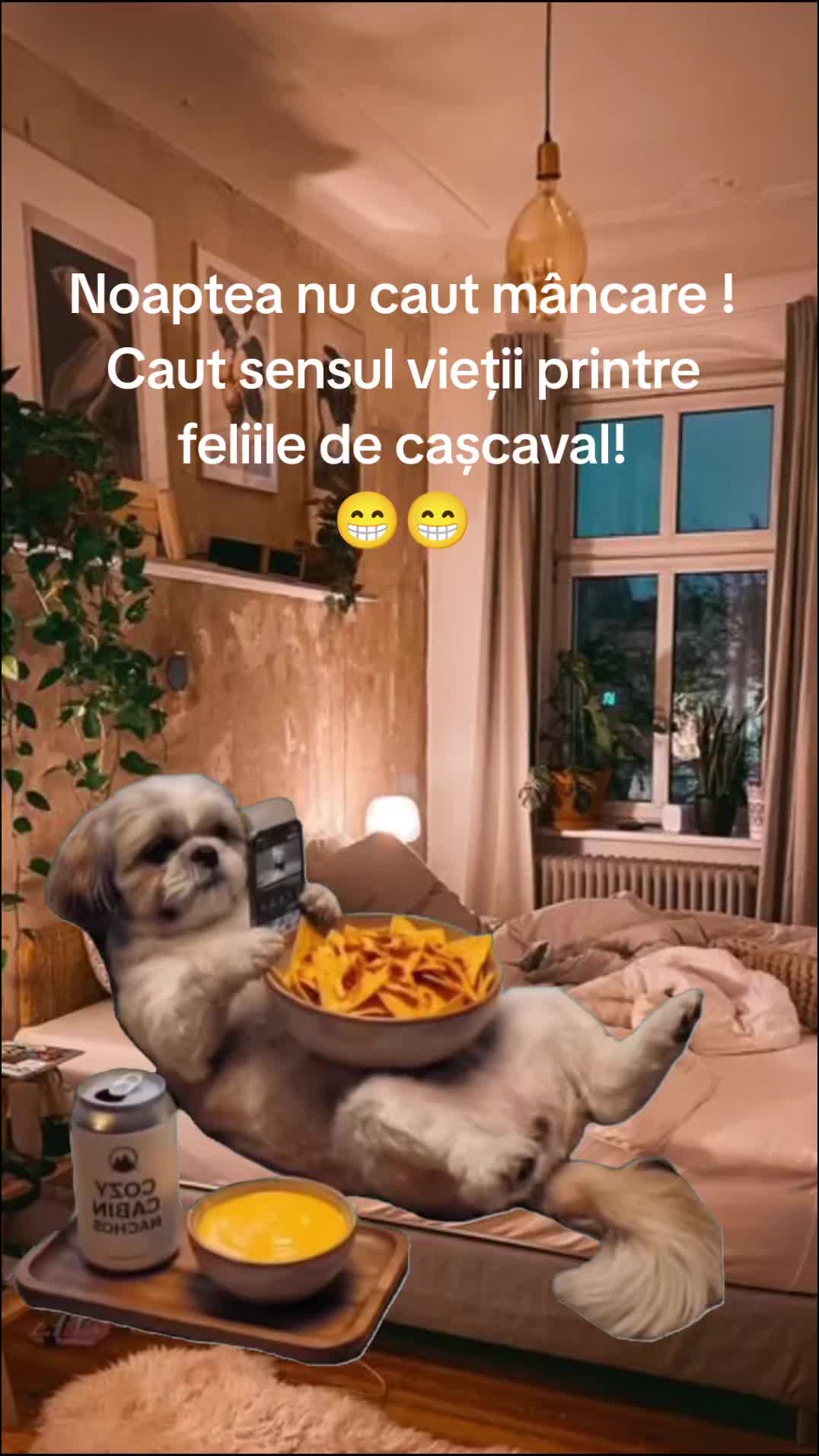 @Carmen Buhinschi
