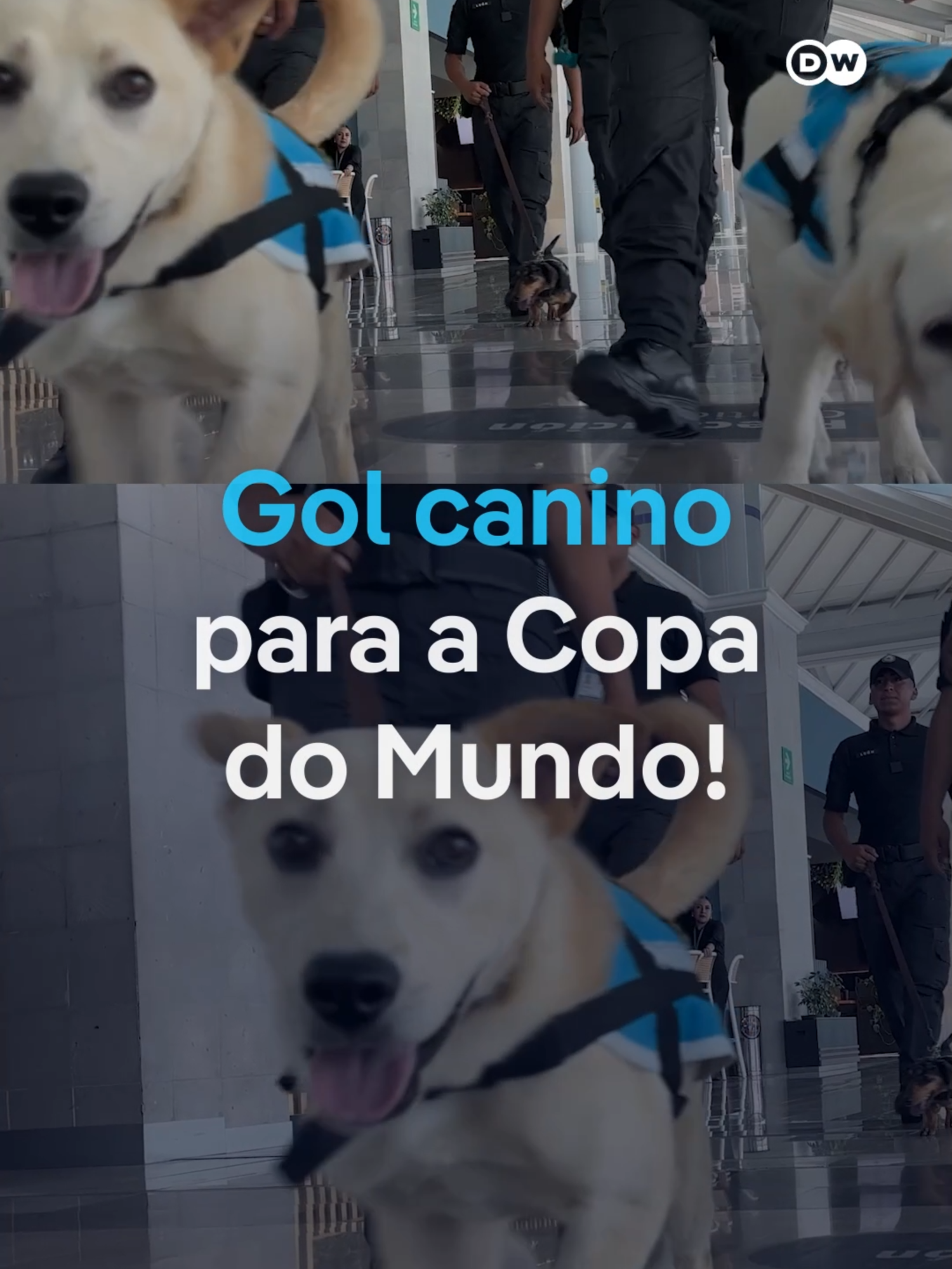 @DW Brasil