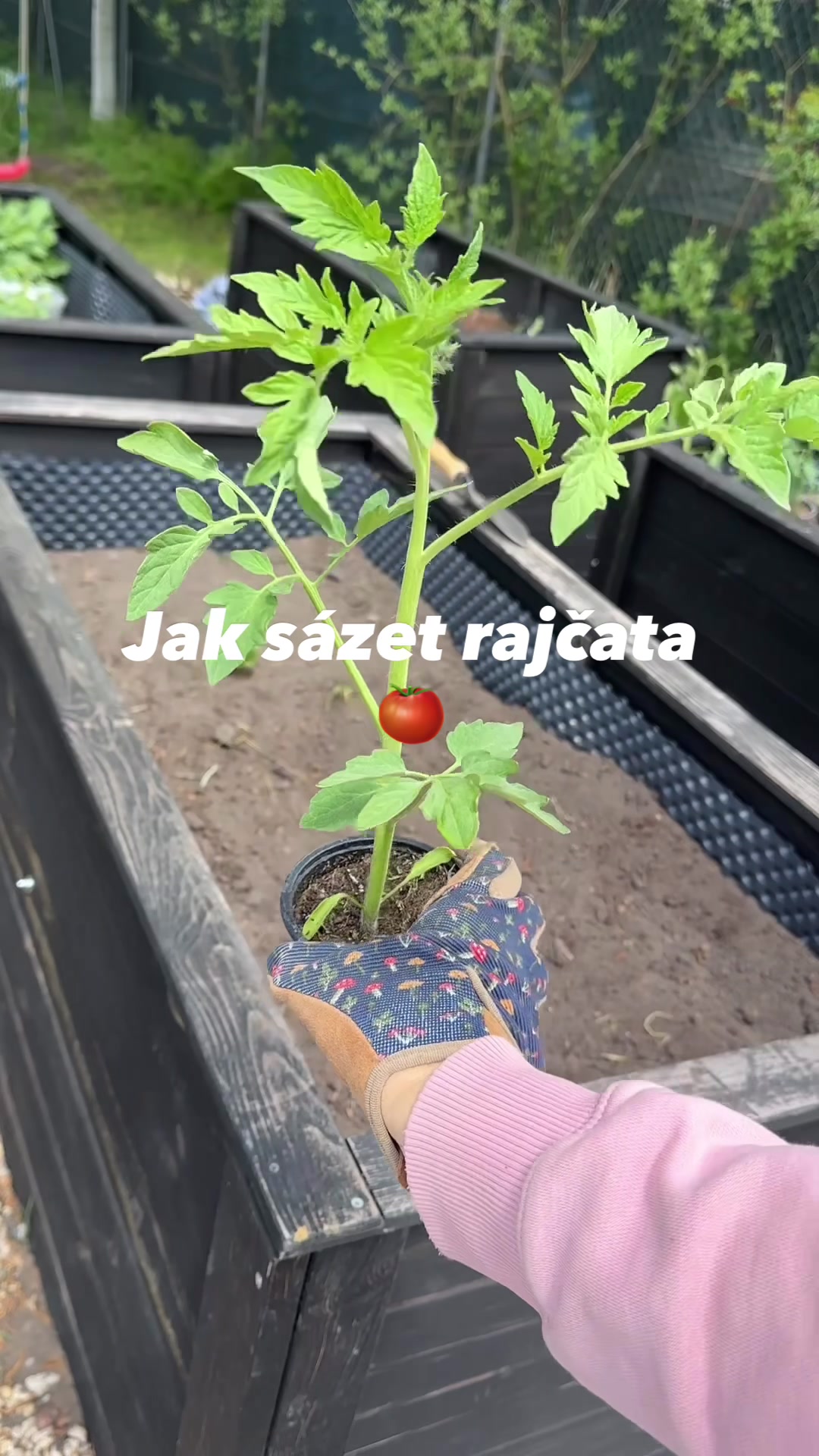 @Tereza - Srdce z jeřabin