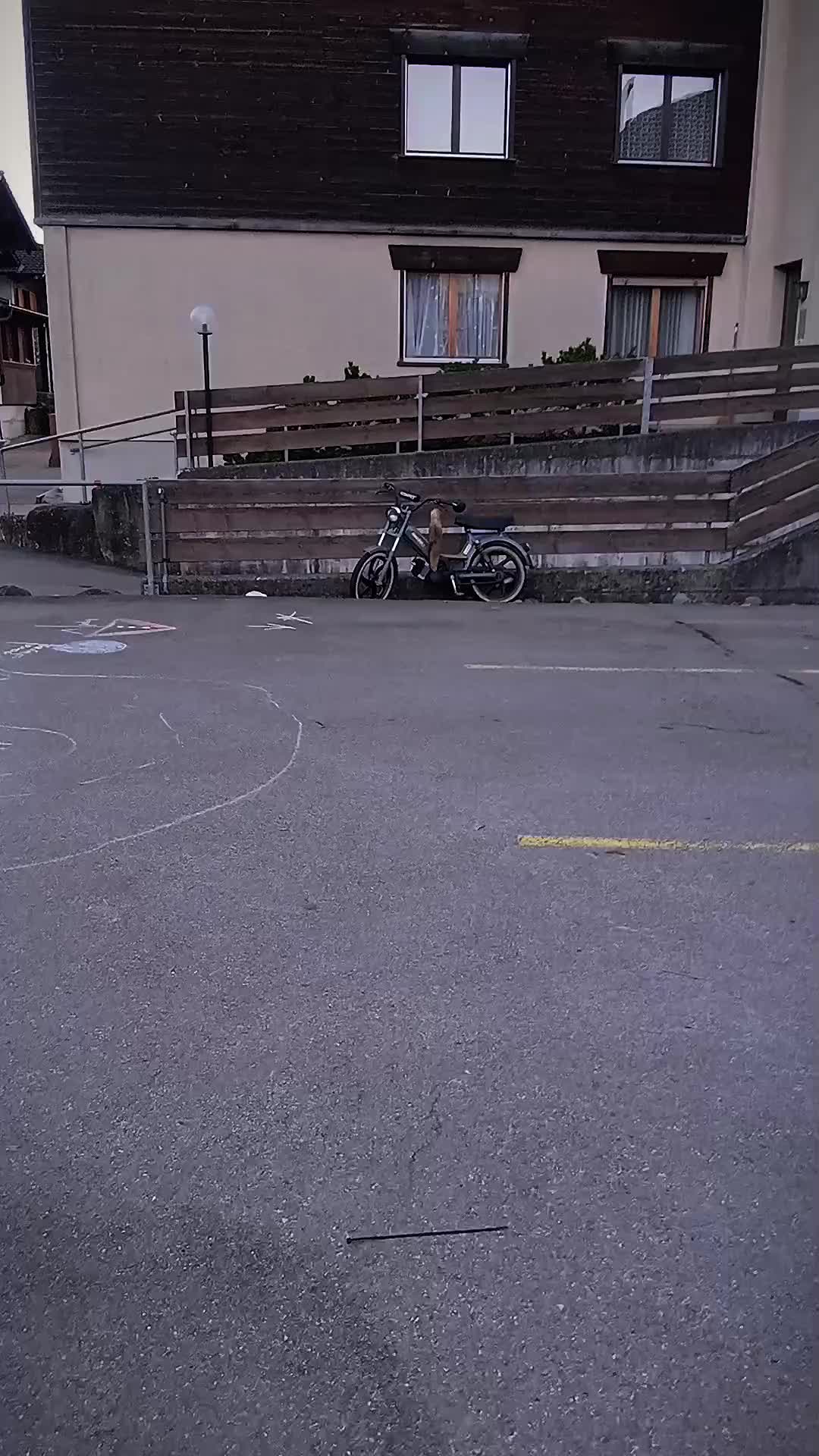 @2STROKEyilgi⌖ᛉ🇨🇭