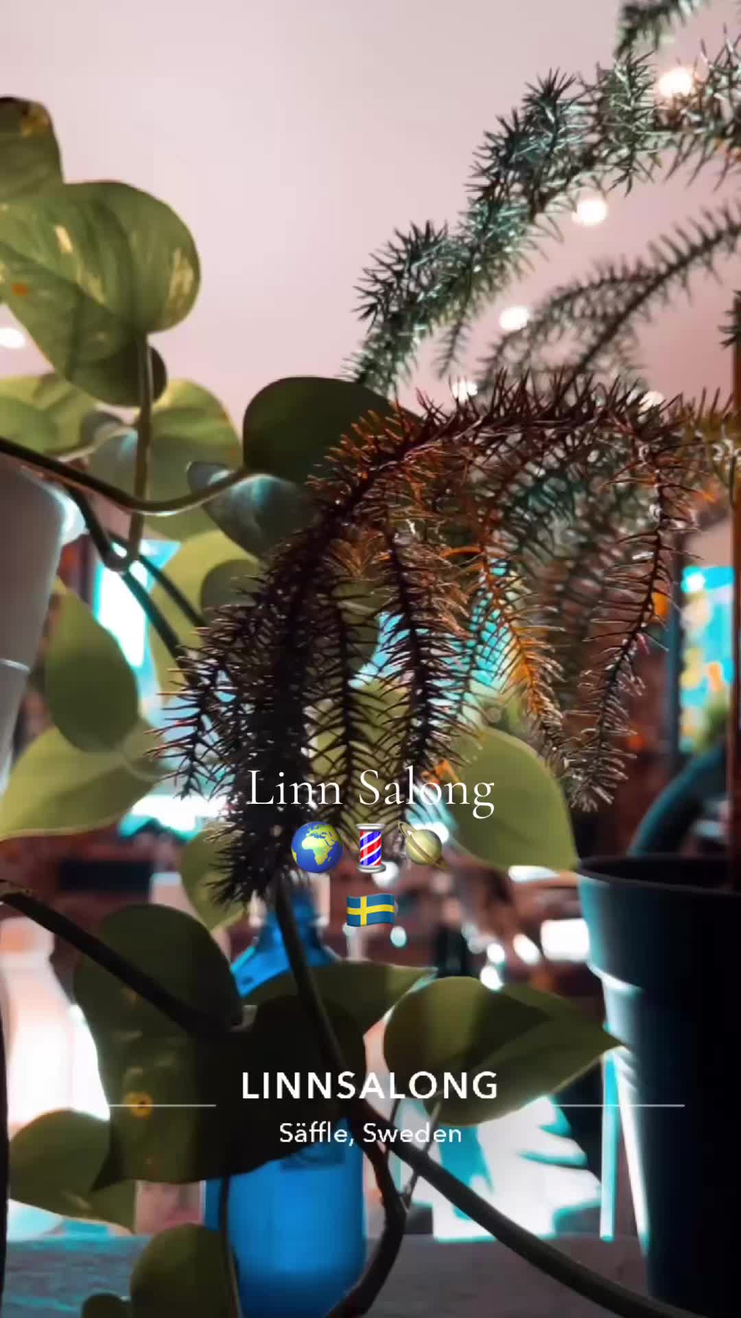 @Linn Salong🇸🇪