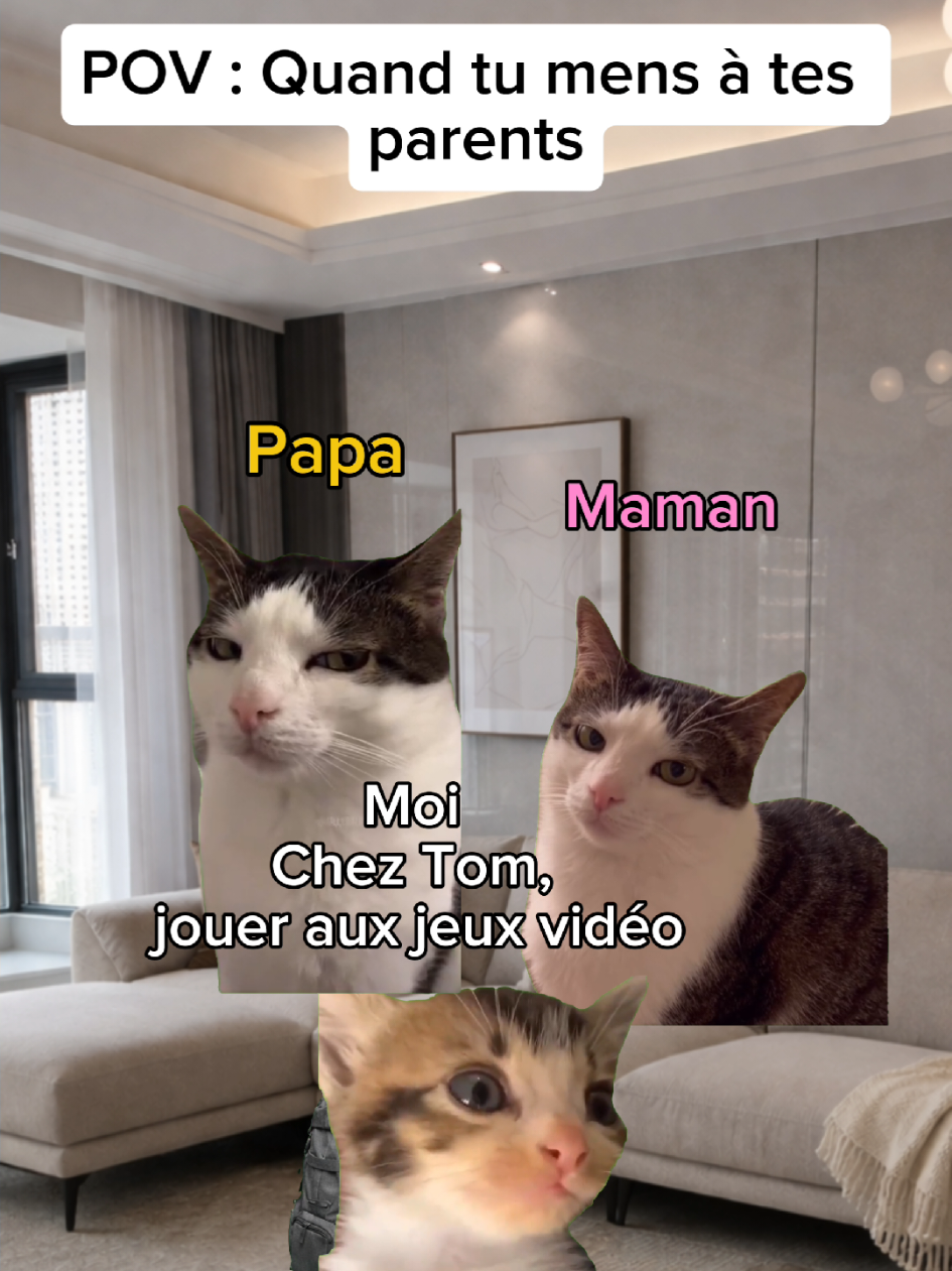 @shorts2chat 😽