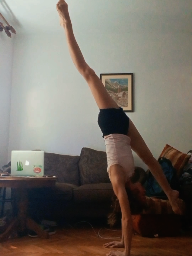 @circusobsessed