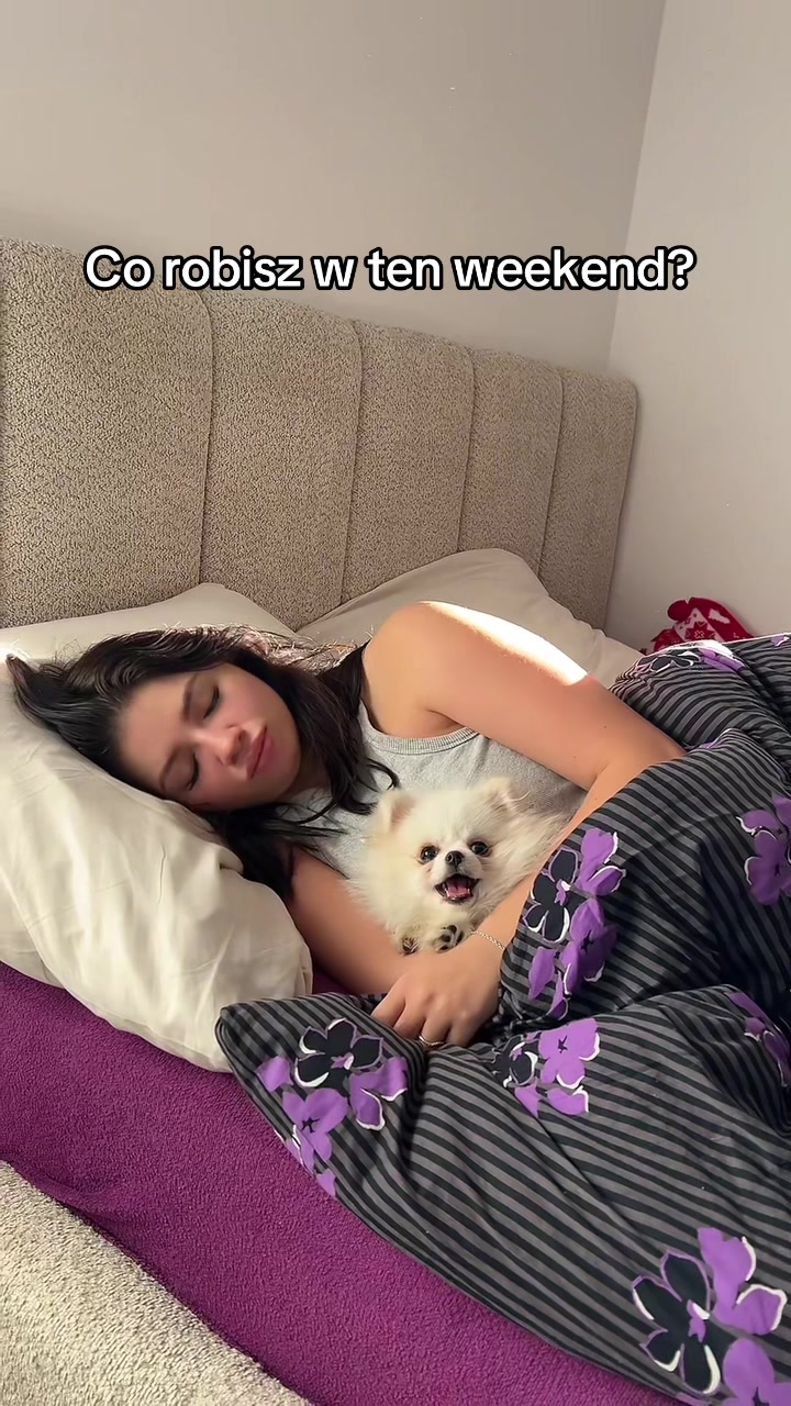 @ALEXA🤍