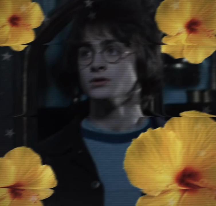 @Drarry ⚯͛ 💚❤️ (multifandom)