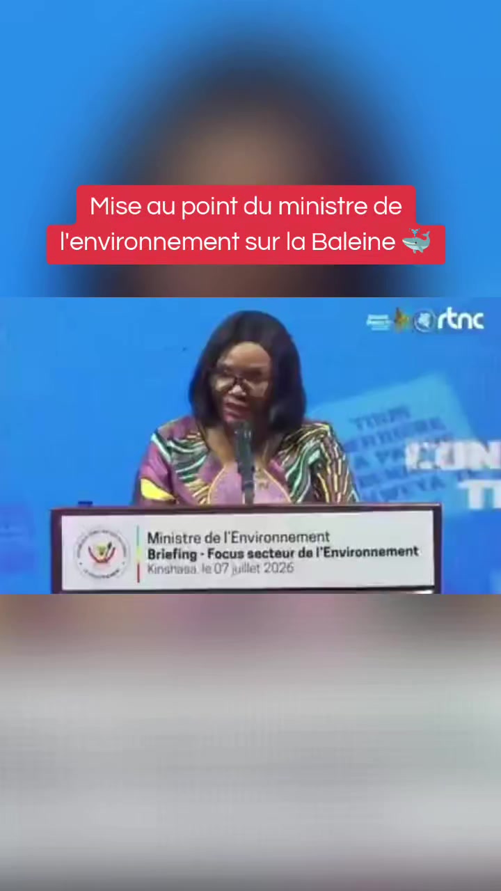 @Pulse Congo