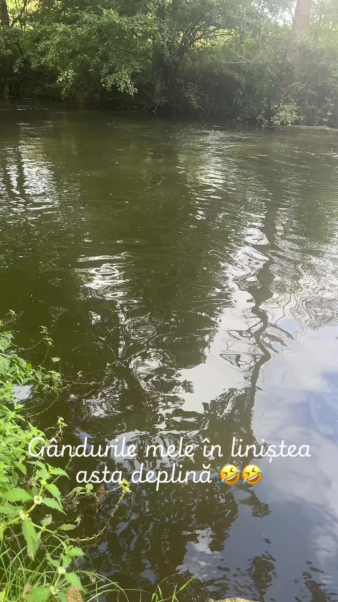 @Larisa Busioc