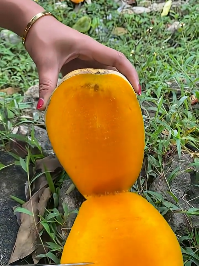 @👉 Oops 🤦♂️