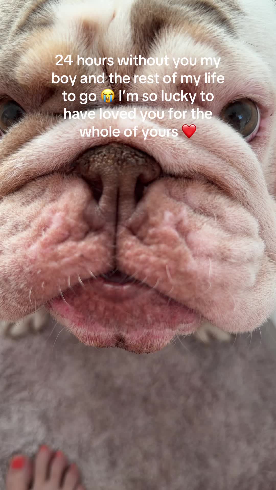@Jamie X