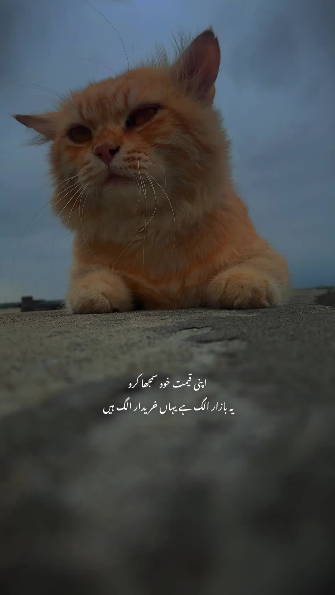 @𝙇𝙤𝙨𝙩 𝙎𝙤𝙪𝙡 🎭
