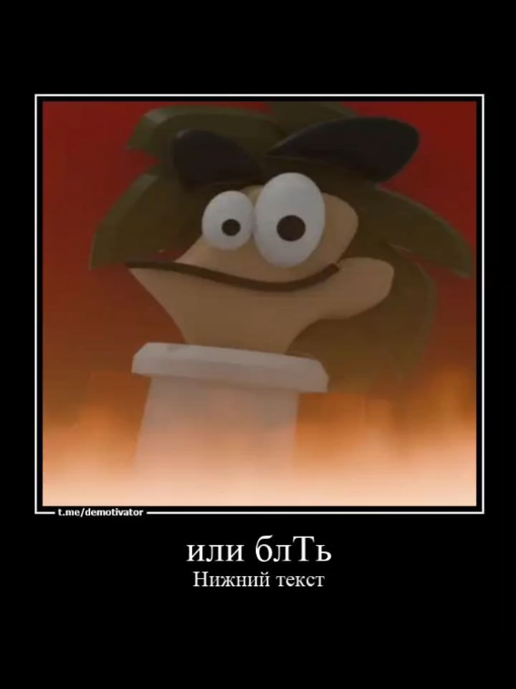 @su-f1k-6