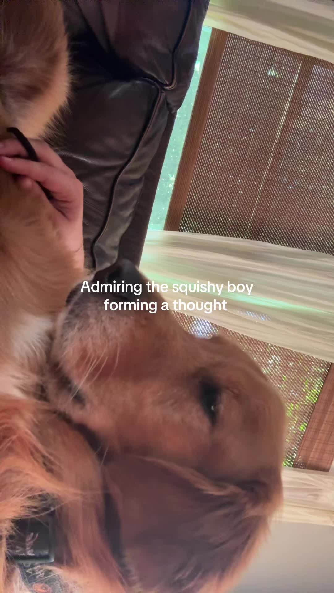 @Kylee🫧