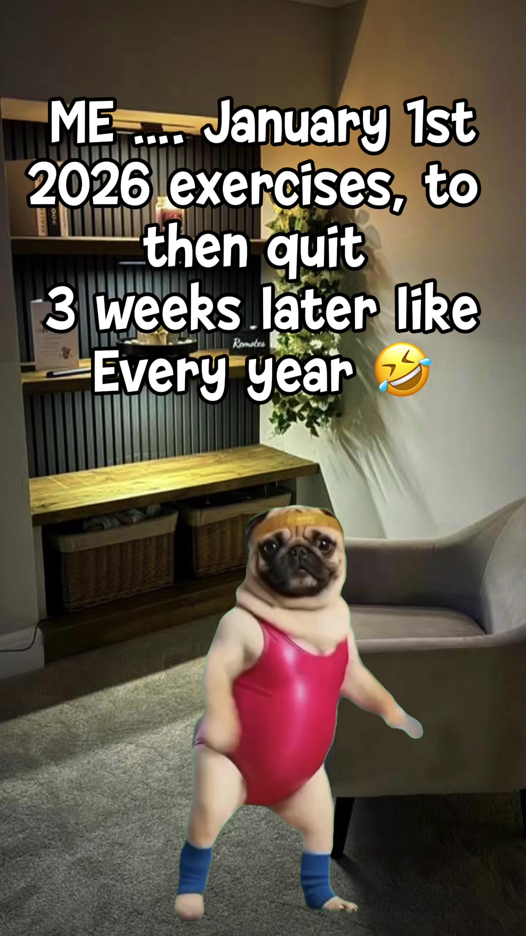 @cleolezo1983