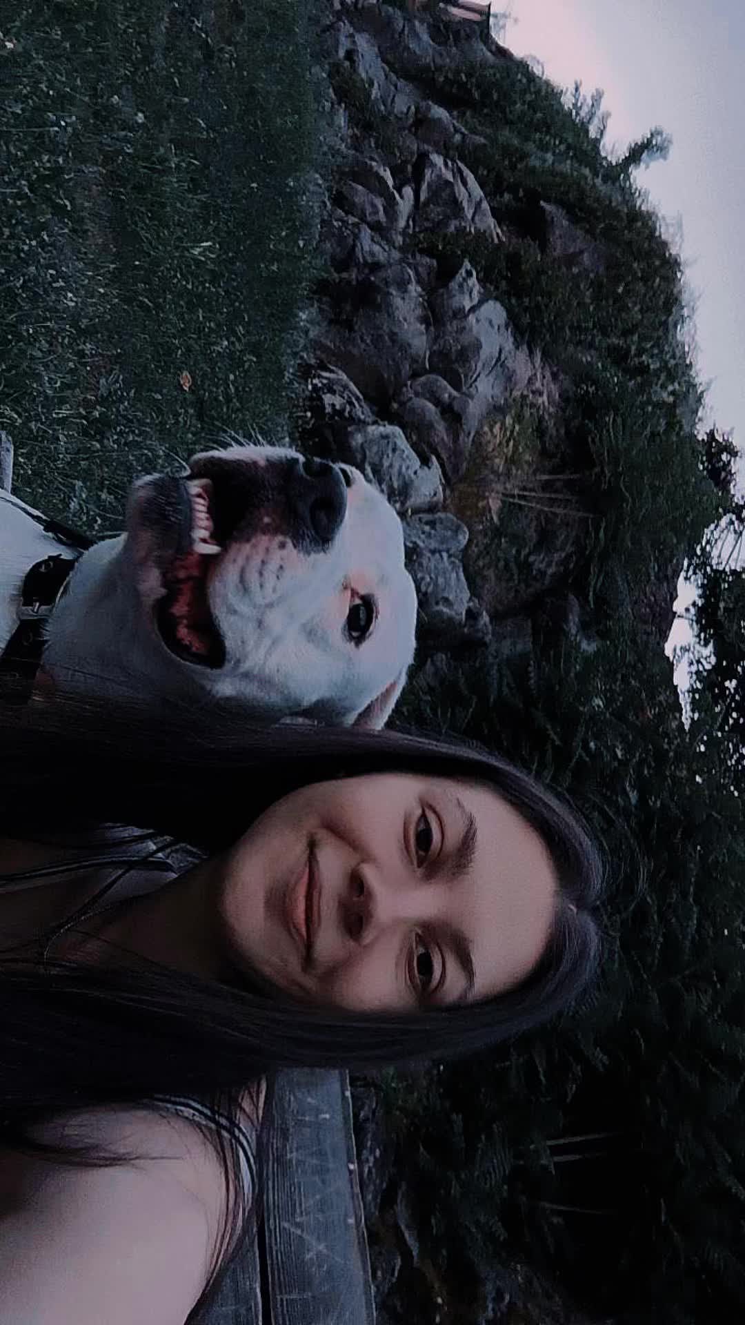 @Raluka_1🪽