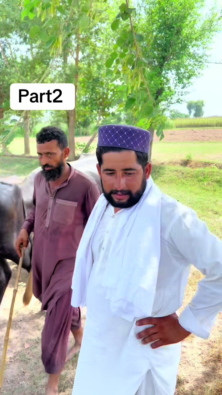 @پینڈو بوائز 378