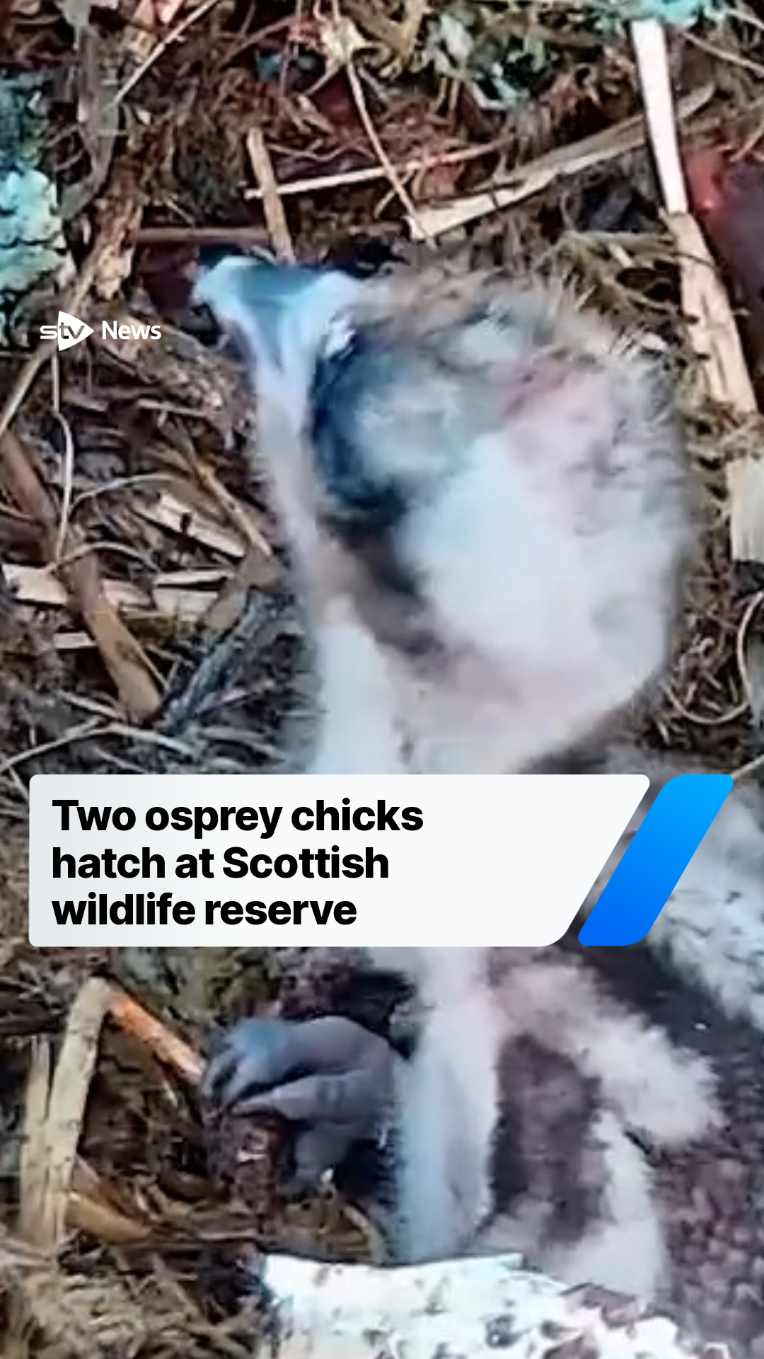 @STV News