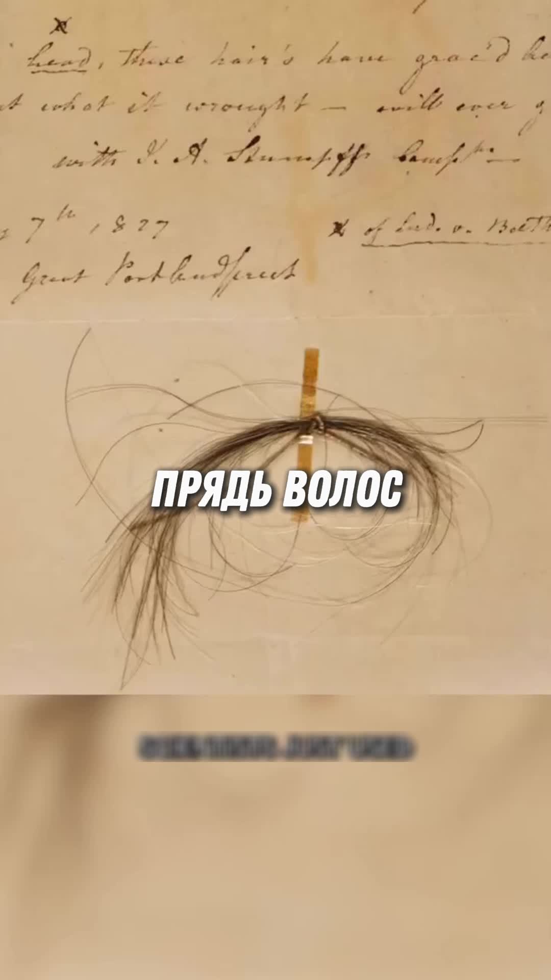@markelov_facts