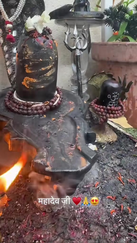 @ਵਲੈਤੀ ਪੰਜਾਬਣ sukh/ਸੁਖ
