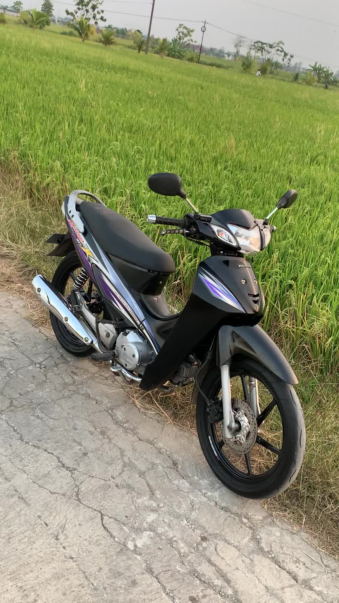 @𝗽𝗮𝗹𝗹