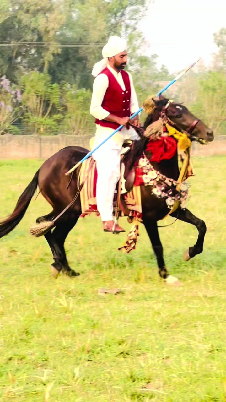 @Rai Asif Hayat khayalika