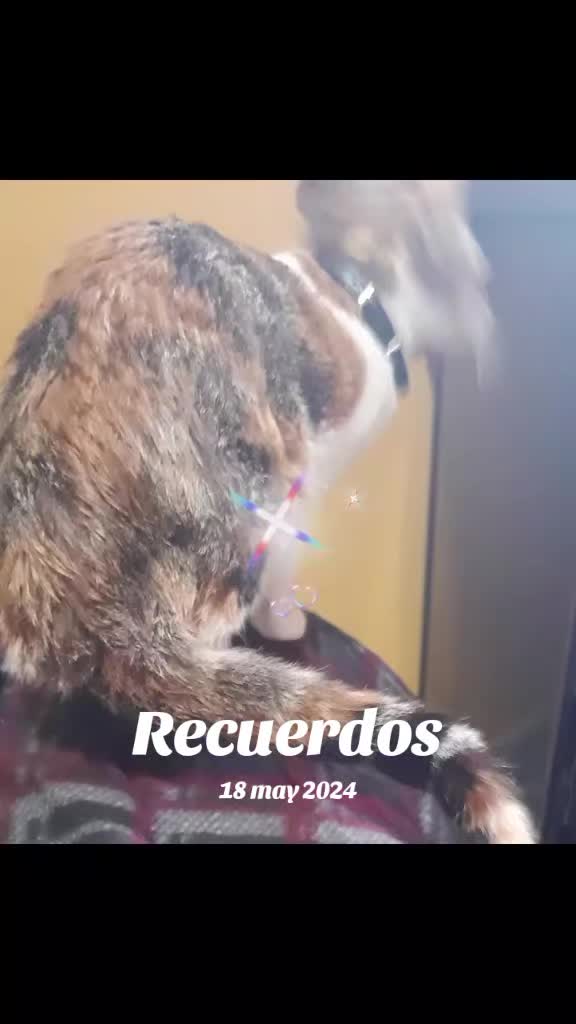 @rubioveronica_11