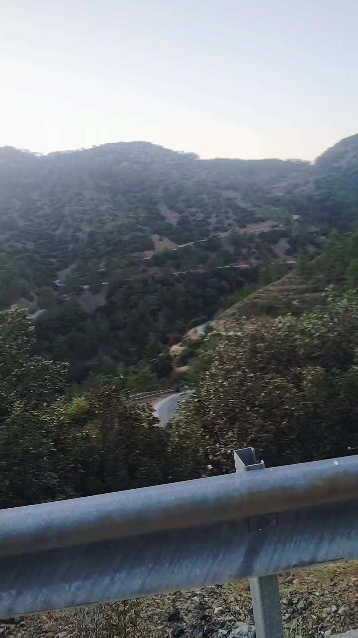 @sunita Rani
