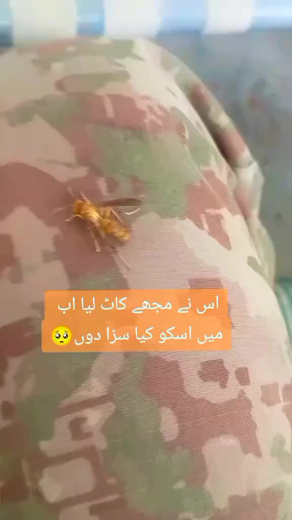 @Multani_Shehzada🥰
