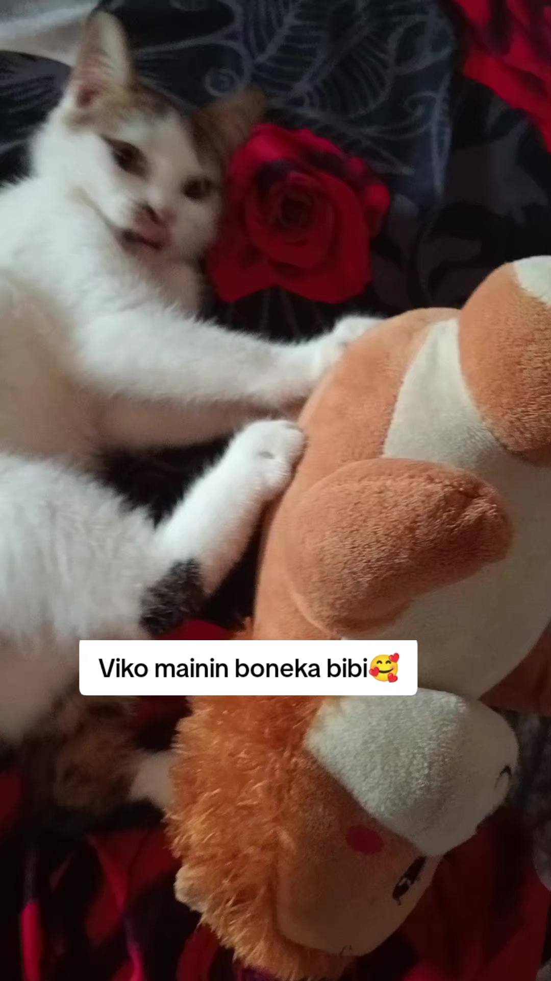 @Rizqi