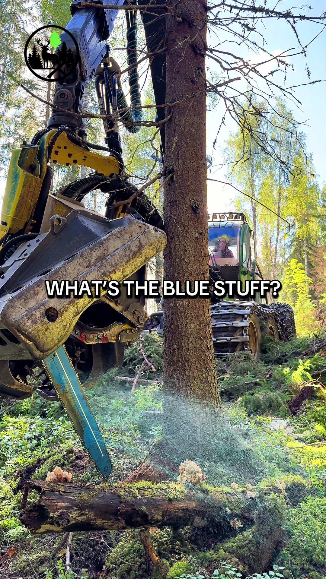 @Metsätalous