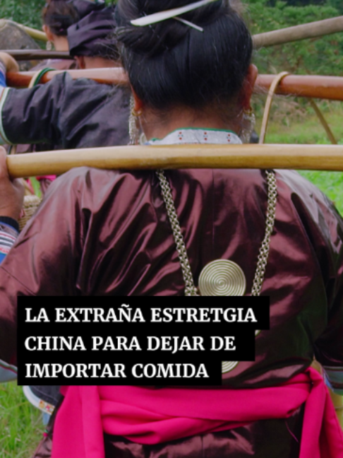 @Periódico Excélsior