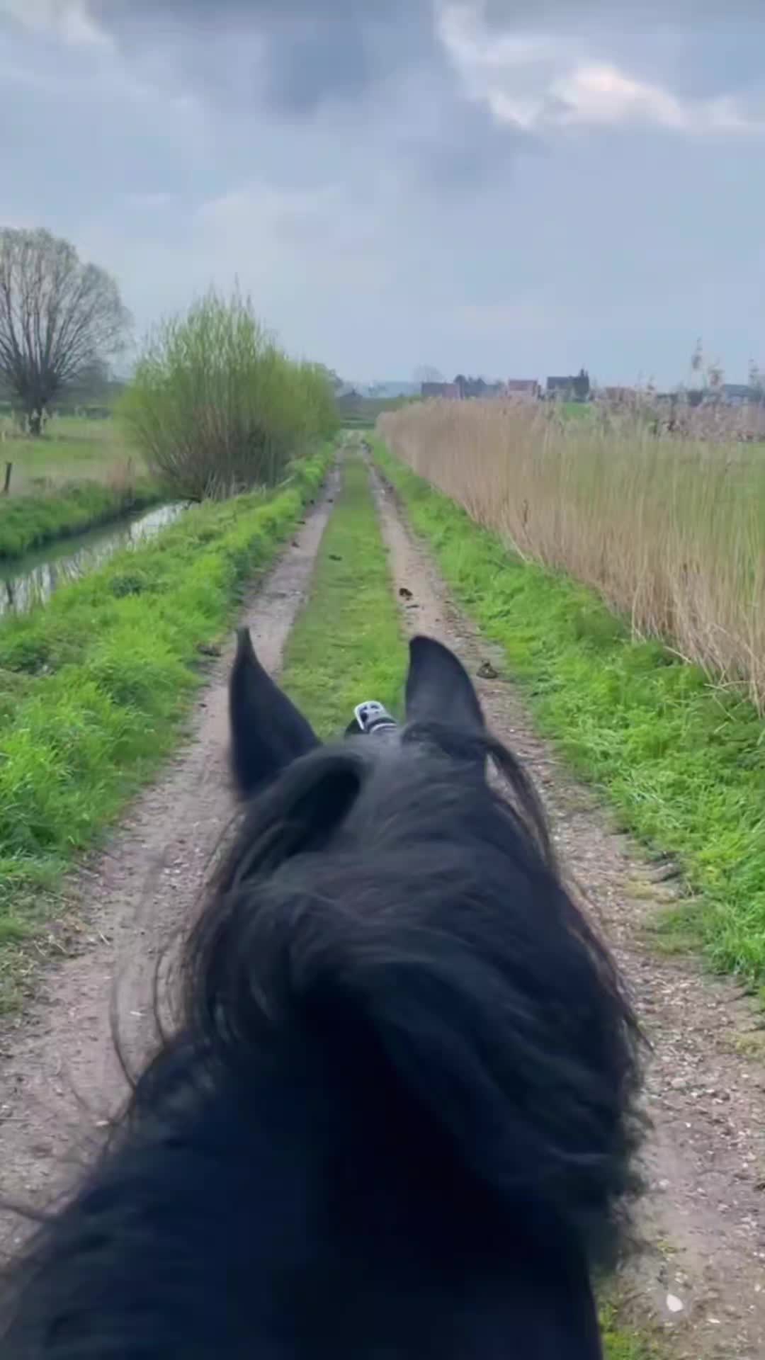 @Noemi Melania