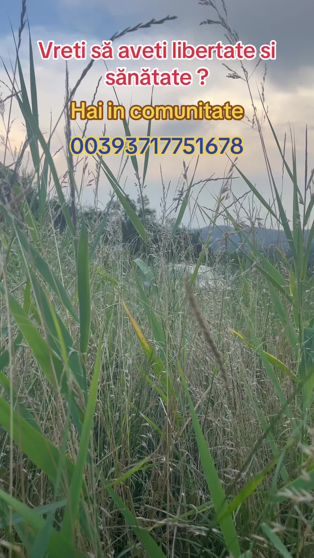 @Mos Craciun