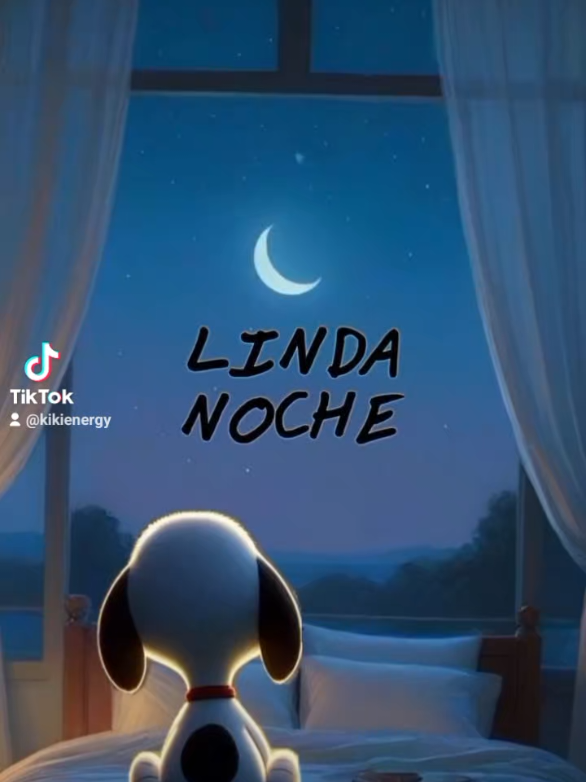 @Kiki