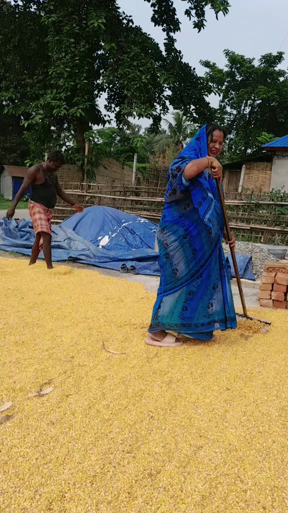 @Asha Kumari Mehta981