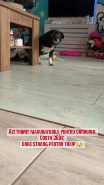 @Geta Trofin