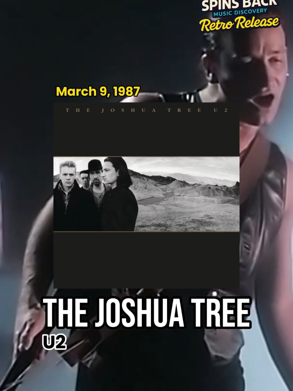 @Spins Back - Music Discovery