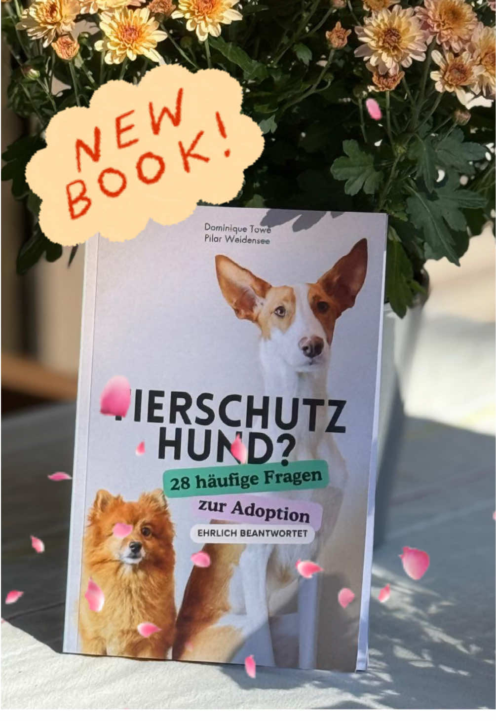 @Pawfect Matches