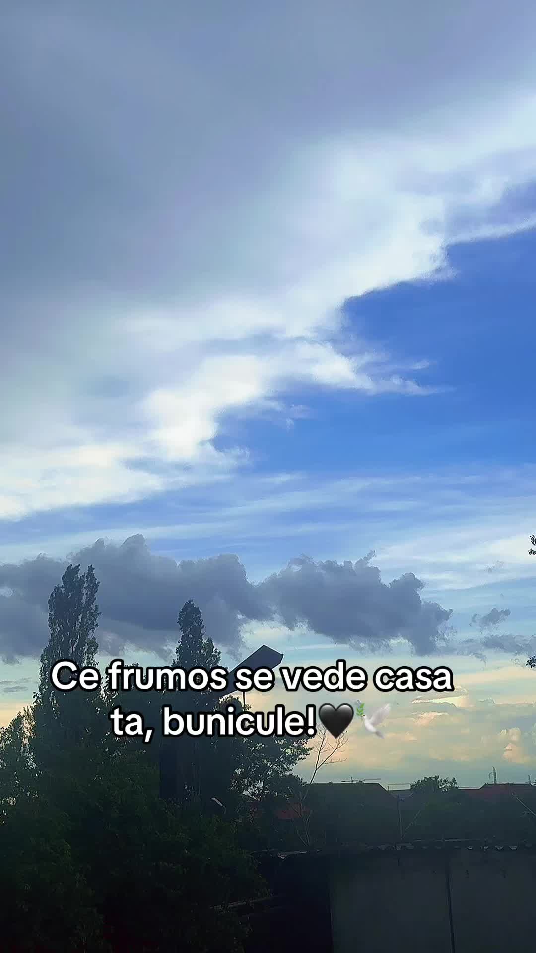 @Mario 💙