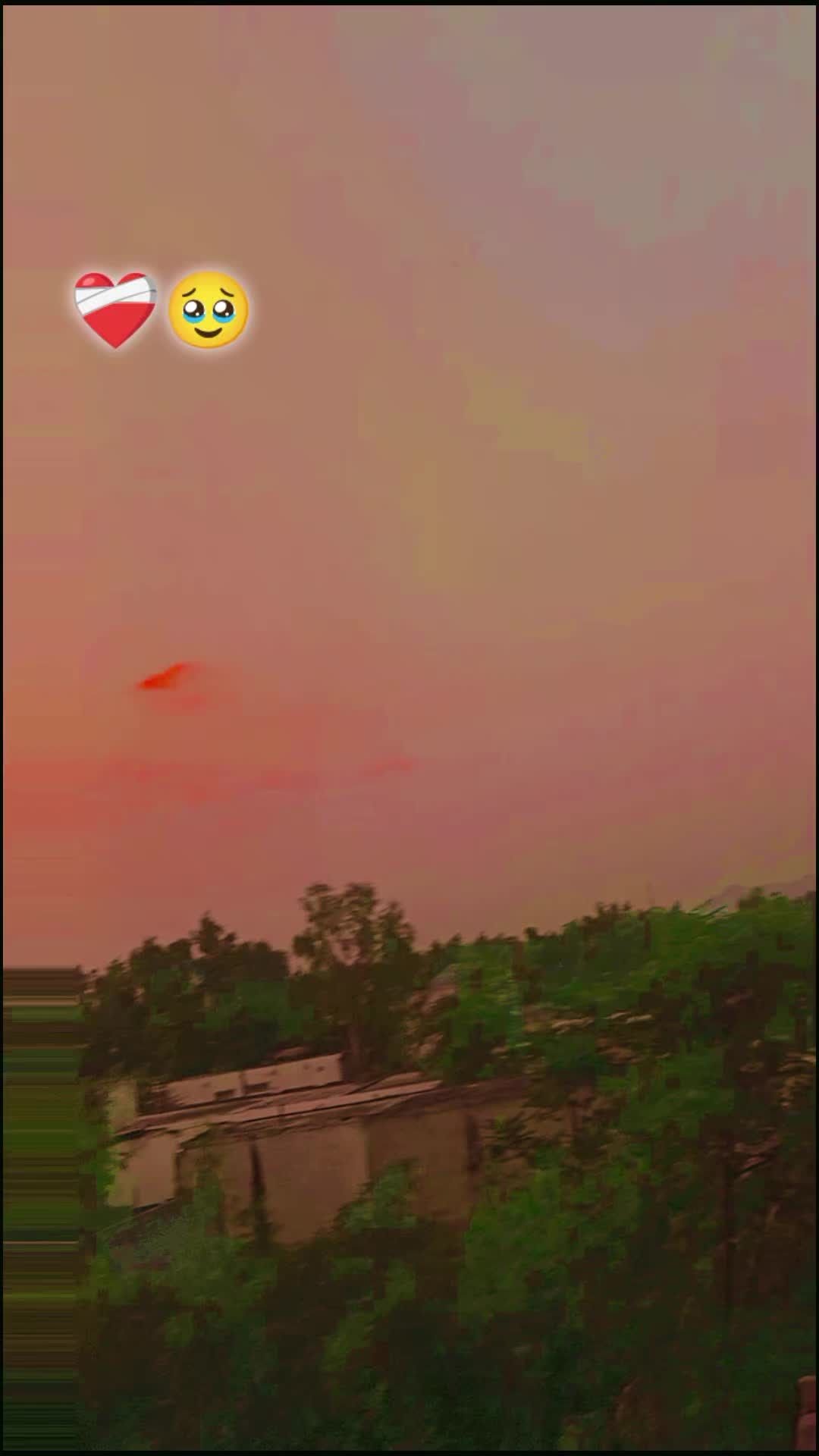@Aisha🫶
