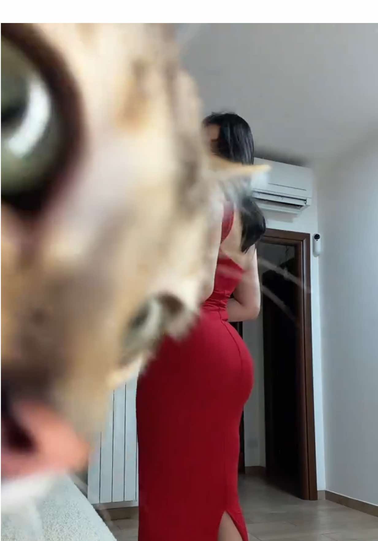 @itsblackwidof