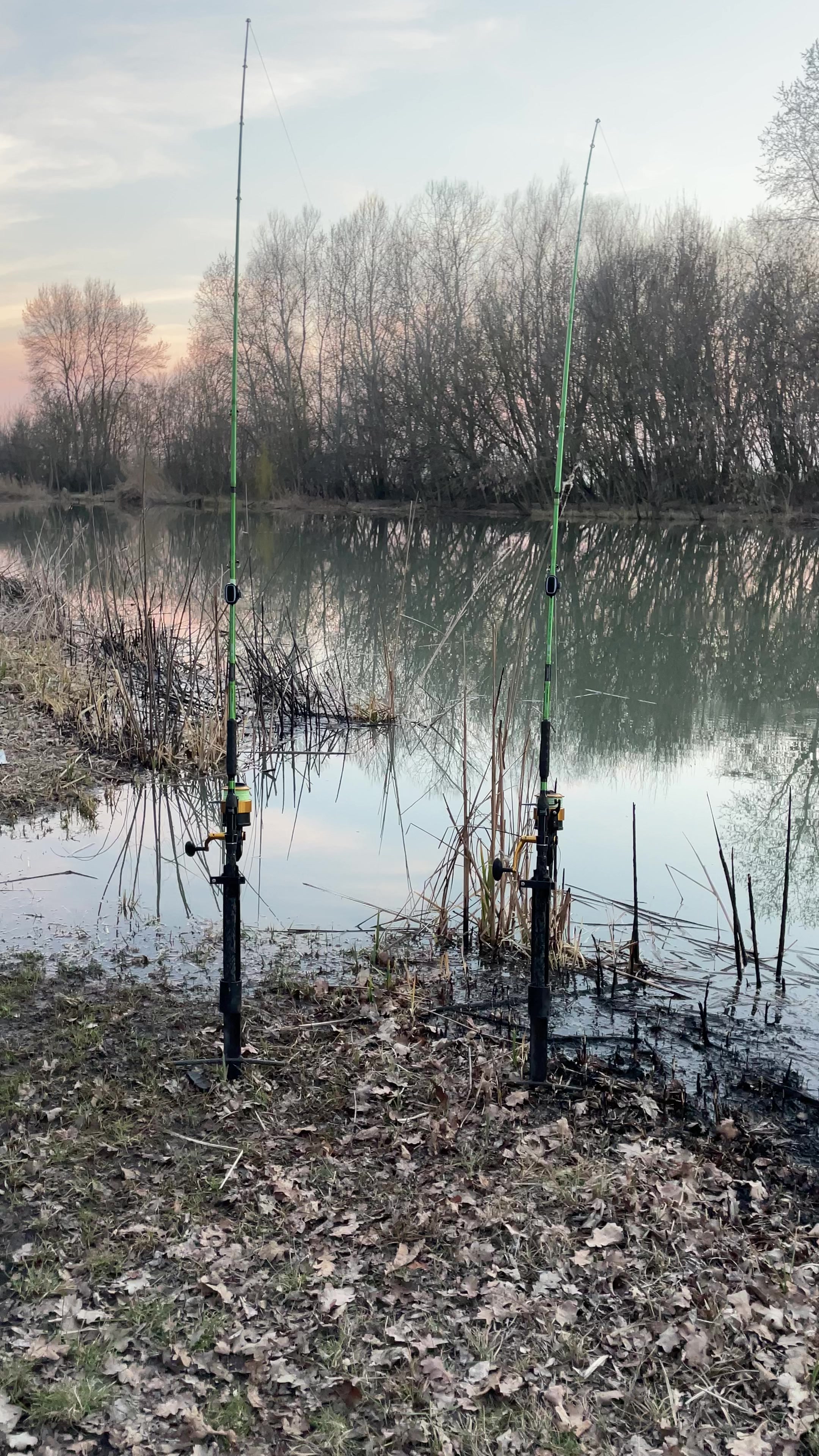 @Galifamili.carpteam