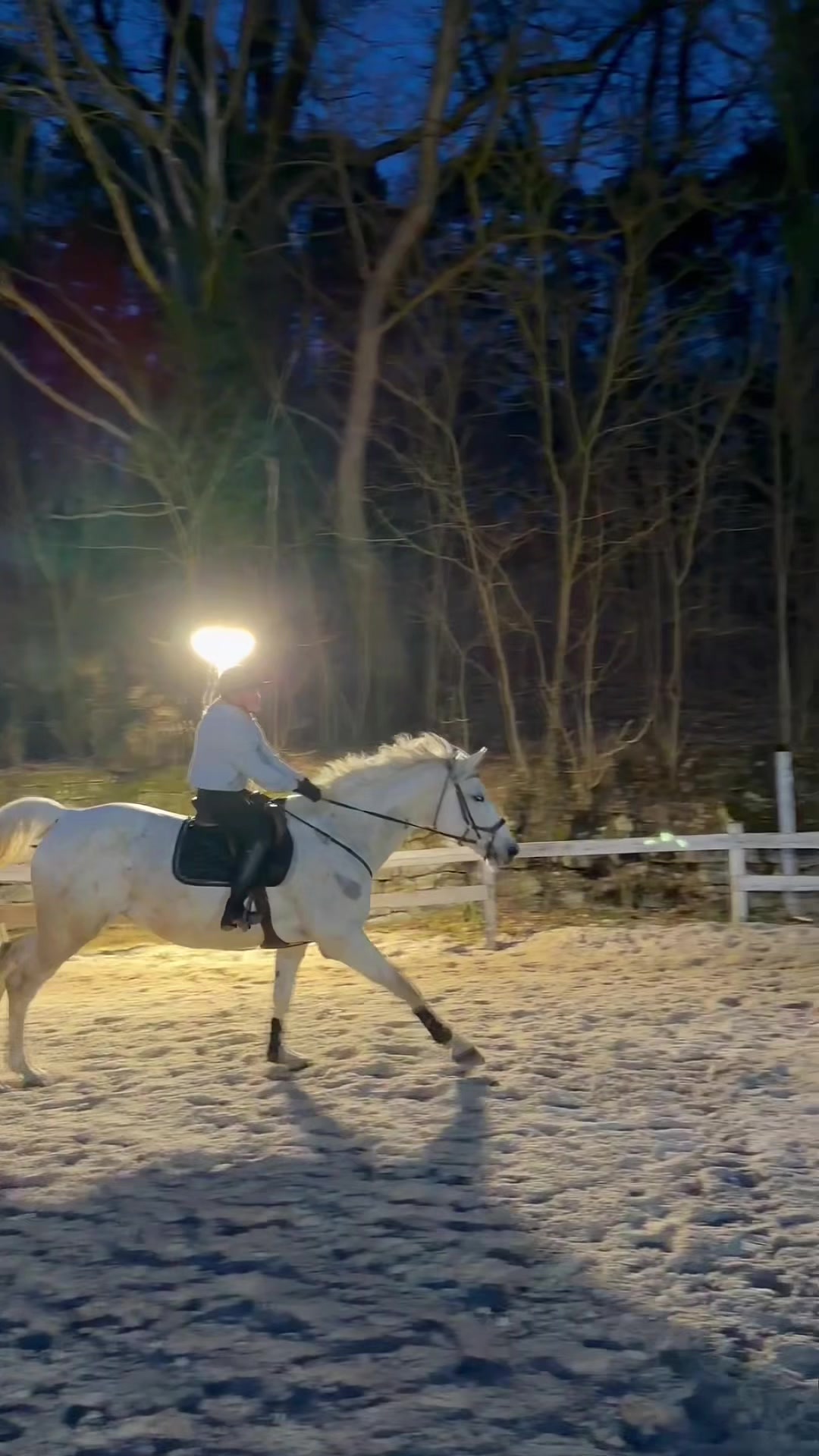 @🐴💗TA OD BELLI I ARY💗🐴